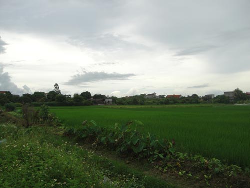 Làng Mạnh Tân, Gia Lương, Gia Lộc, Hải Dương